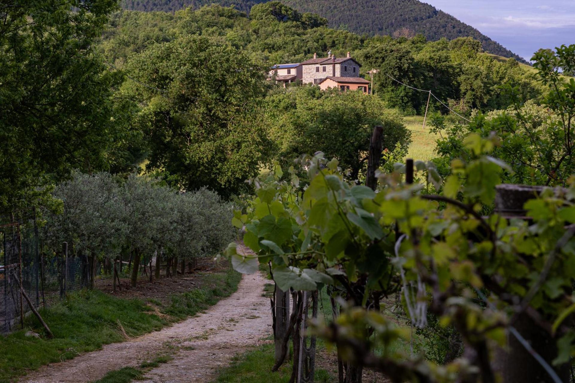 Relais Parco Del Subasio Piano Delle Pieve Exterior foto